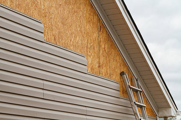 Professional Siding Repair technician working in Evanston, IL